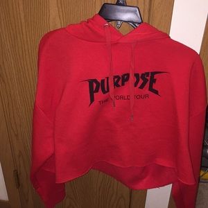 Justin Bieber Purpose Tour Cropped Hoodie